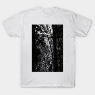 snowy Oregon forest 4 T-Shirt